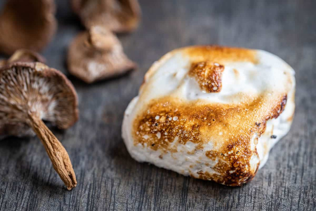 Candy Cap Mushroom Marshmallows