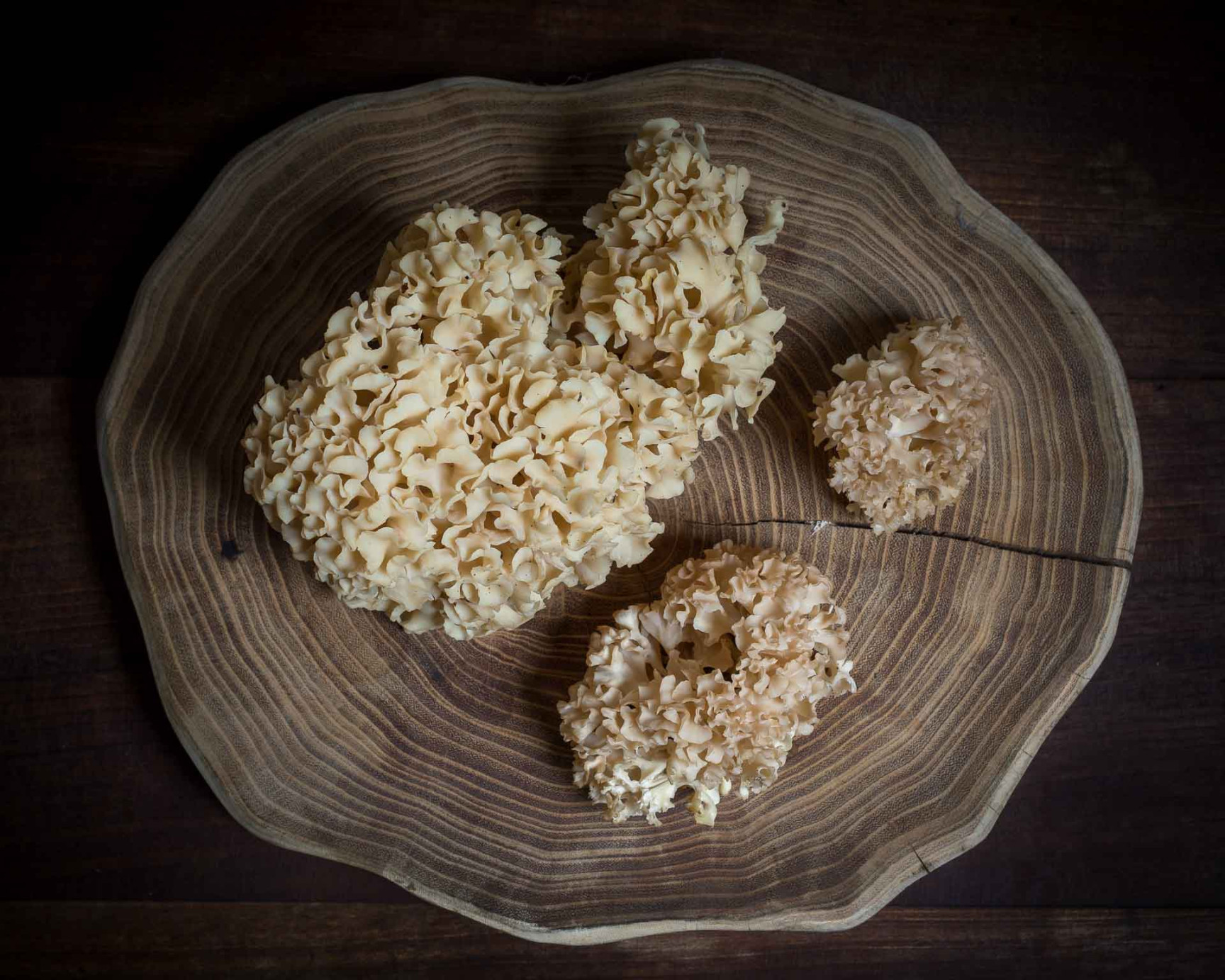 Cauliflower mushroom (Sparassis crispa) fried with egg