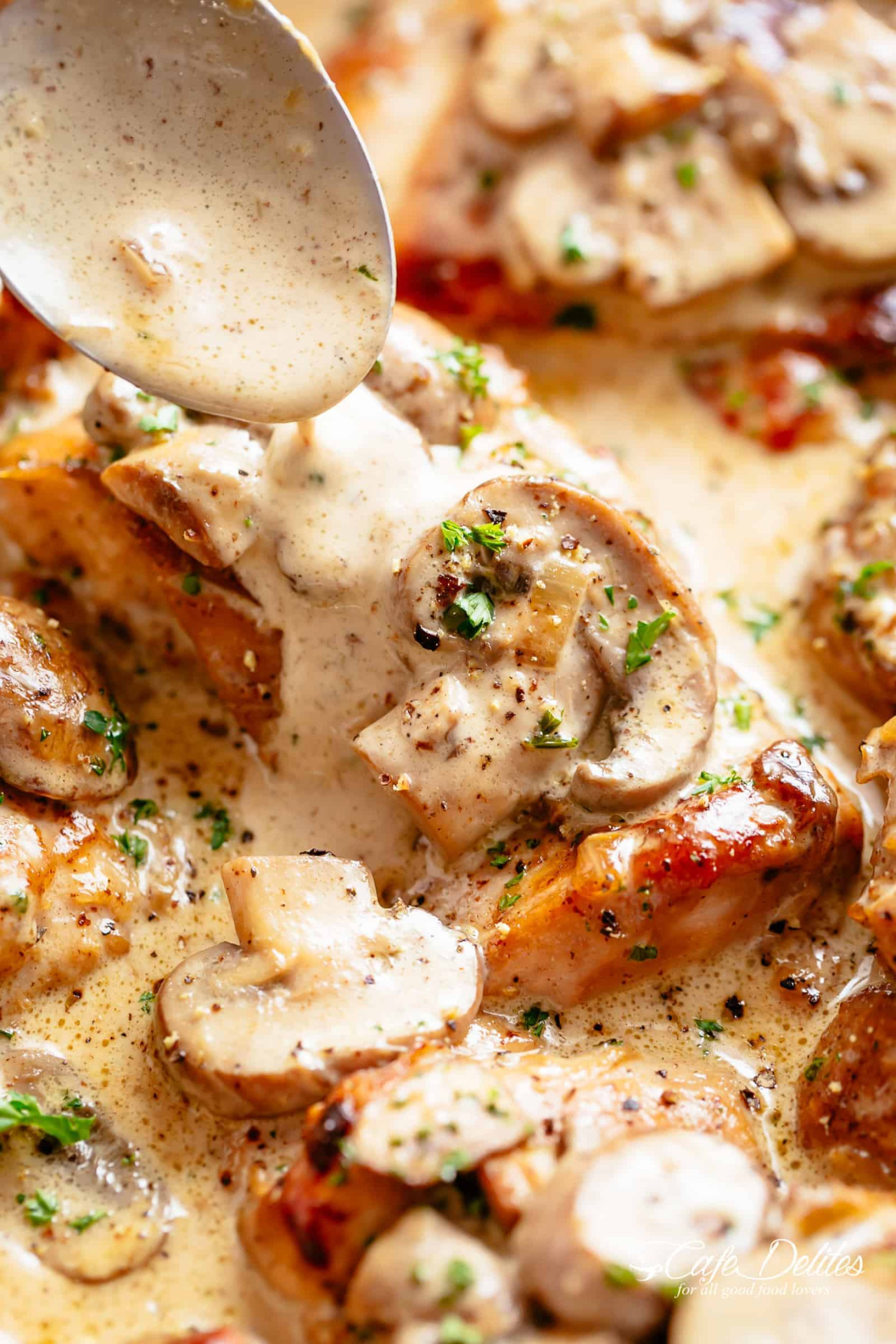 Chicken Thighs With Creamy Mushroom Garlic Sauce - Cafe Delites