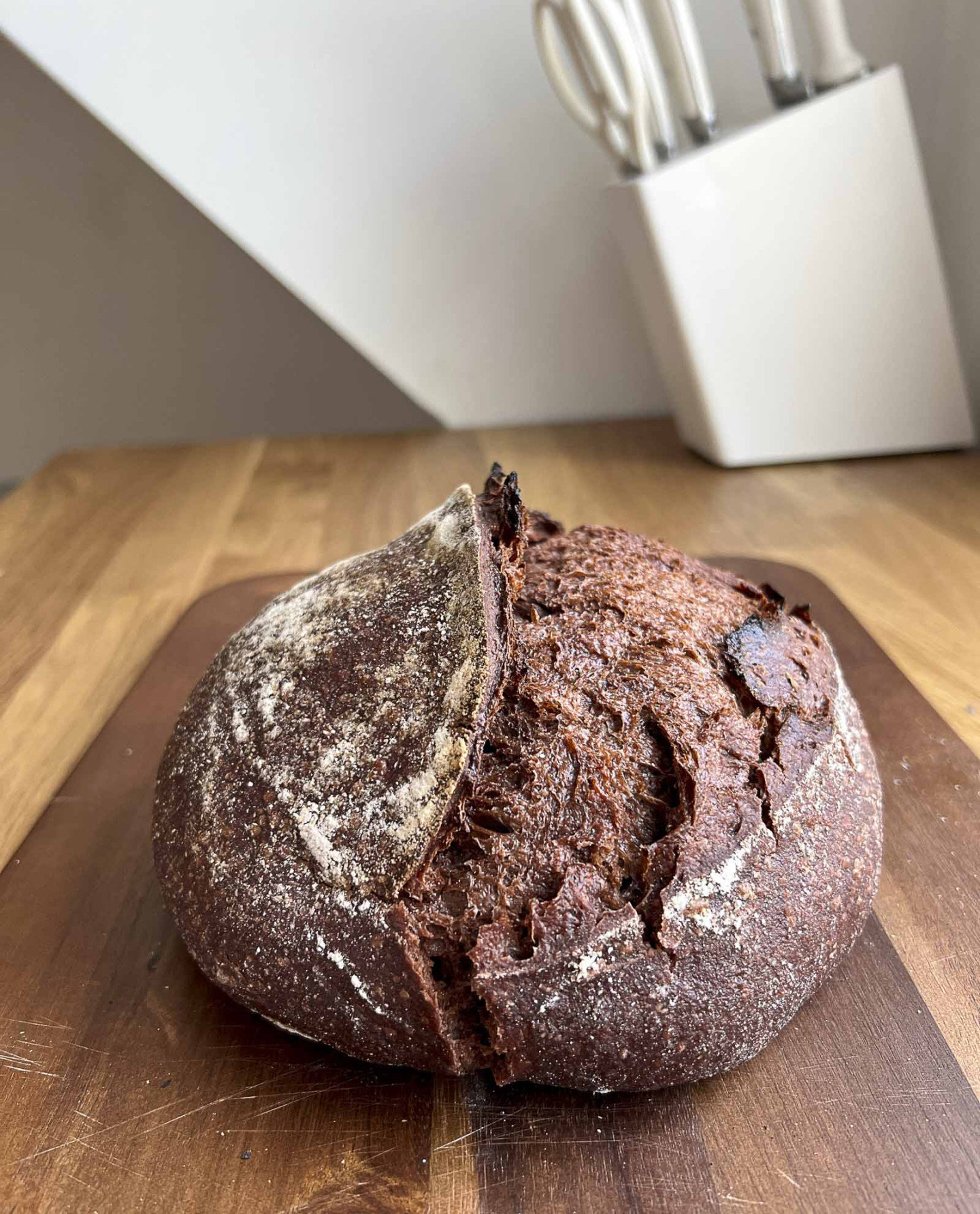 Chocolate Sourdough Bread (with Cacao)