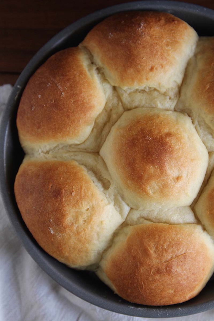 Fluffy No Knead Refrigerator Rolls