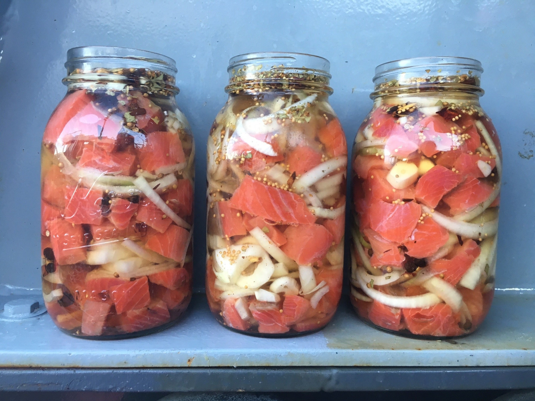 Pickled Salmon Recipe – Salmon Sisters