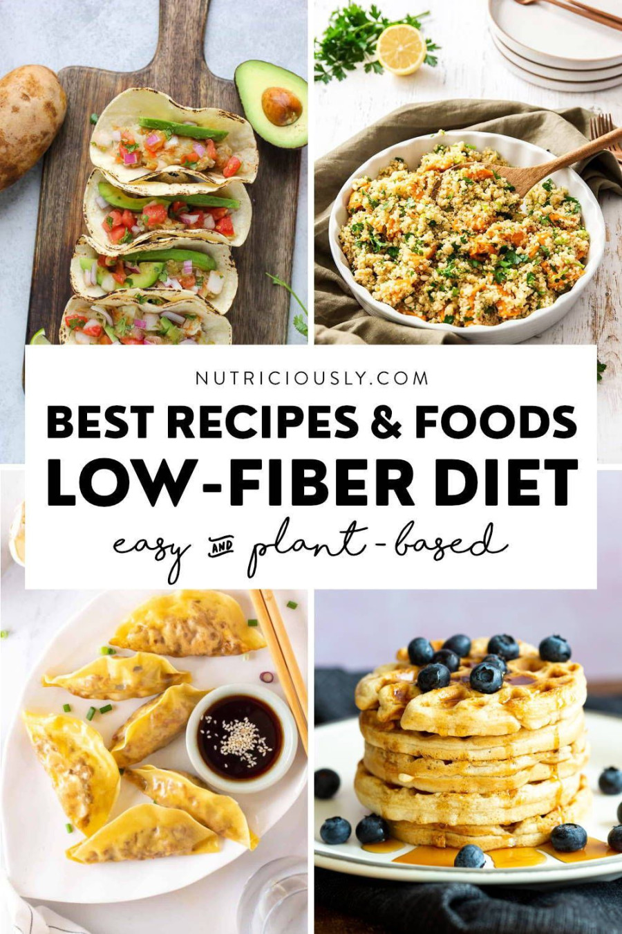 Vegan Low Fiber Recipes